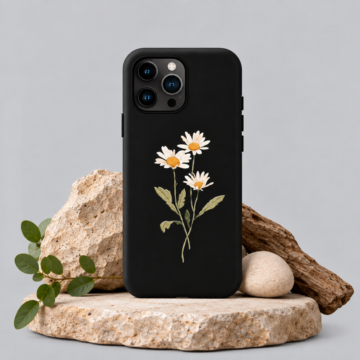 Wild Daisy